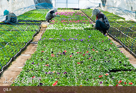 �悭���鎿��